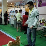 SONY DSC